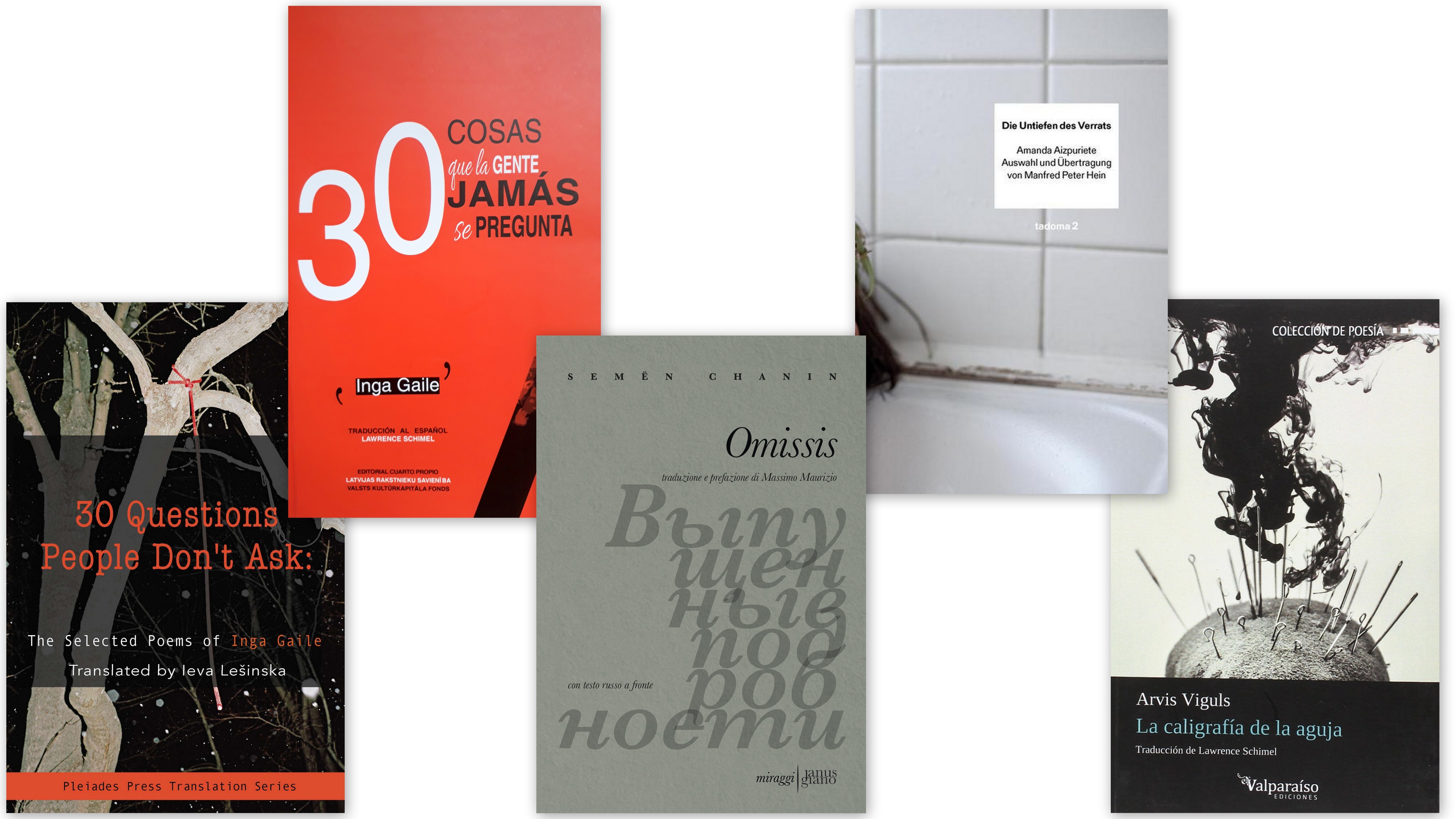 More and more translations of Latvian poetry are being published abroad, in the
form of collections, selections, and different anthologies. This year, the
selected poems of Inga Gaile were published in the US and Chile. A selection of
Arvis Viguls’ 